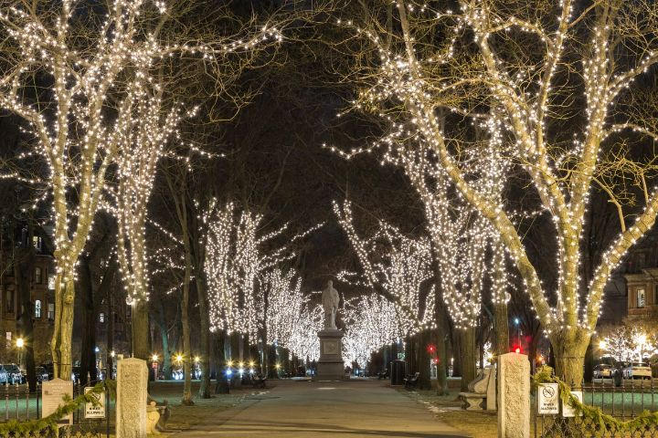 Reindeer Bros Announces Availability of Top-notch Christmas Light Installation Services