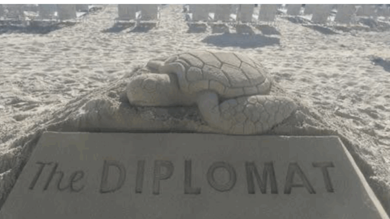 The Diplomat Earth Week Sand Turtle